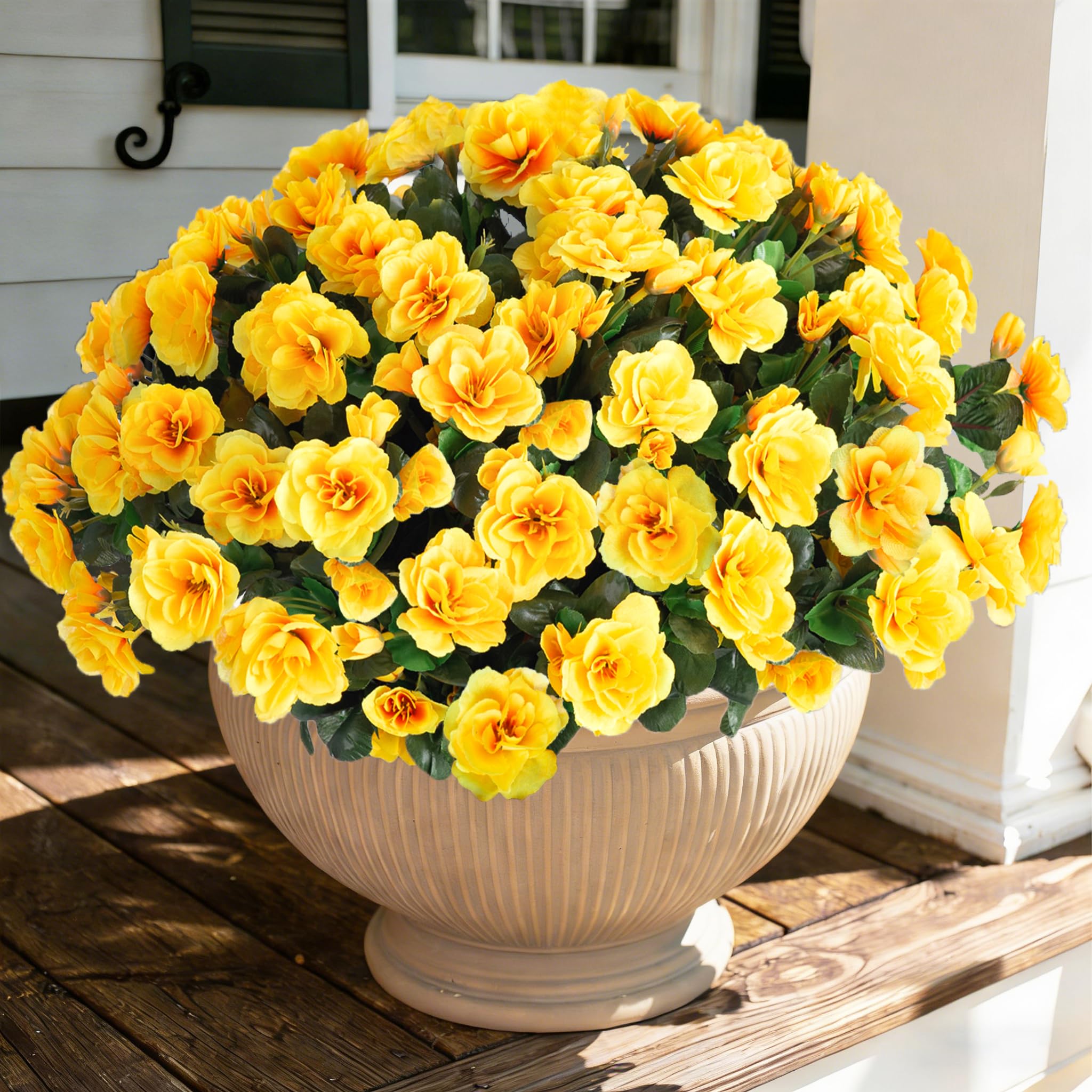 Ivydale yellow camellia outdoor plant adds UV-resistant color to patios
