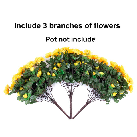 Ivydale 3-pack arrangement instantly elevates outdoor spaces