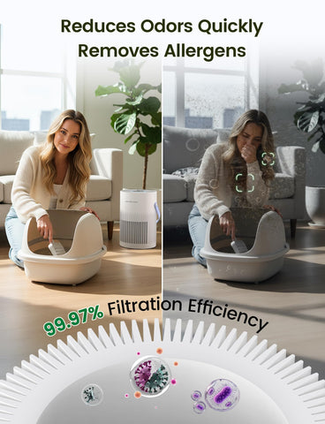 Jafanda air purifier captures pet dander for cleaner living space.