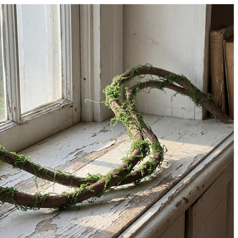 Janinka forest inspired backdrop for garden landscapes or reptile habitats.