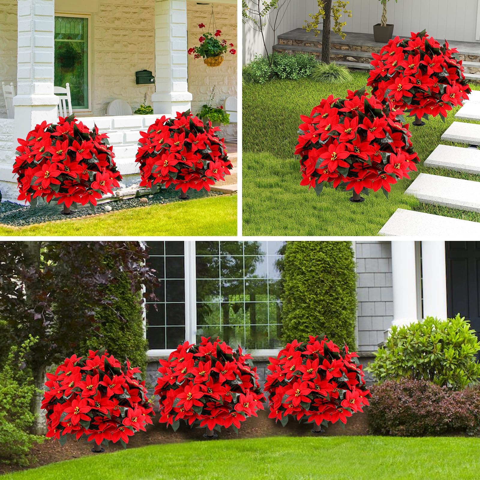 Jasmpig poinsettia ball tree 27in porch garden versatility.