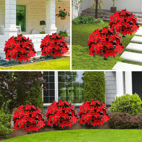 Jasmpig poinsettia ball tree 27in porch garden versatility.
