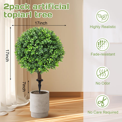 Jasmpig boxwood ball tree close-up showing realistic texture and leaf detail.