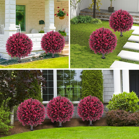 Maintenance free evergreen look from Jasmpig staying vibrant year round.
