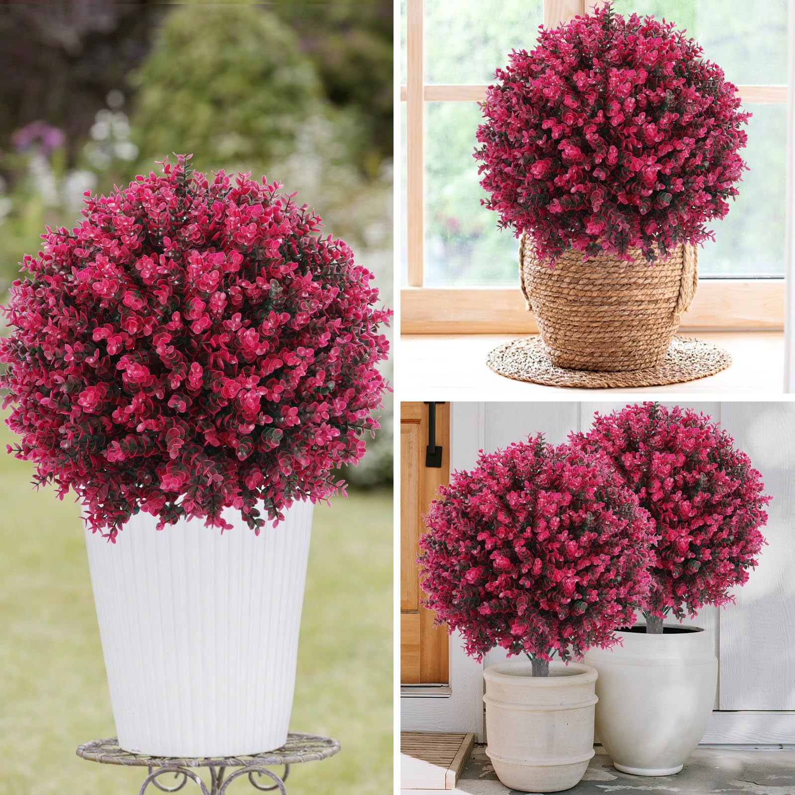 Jasmpig greenery suitable for indoor and outdoor porch or garden setup.