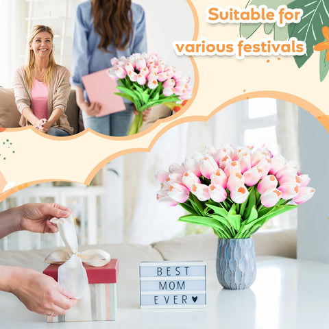 Jexine multicolor tulips display a wide color range for events and gifts.