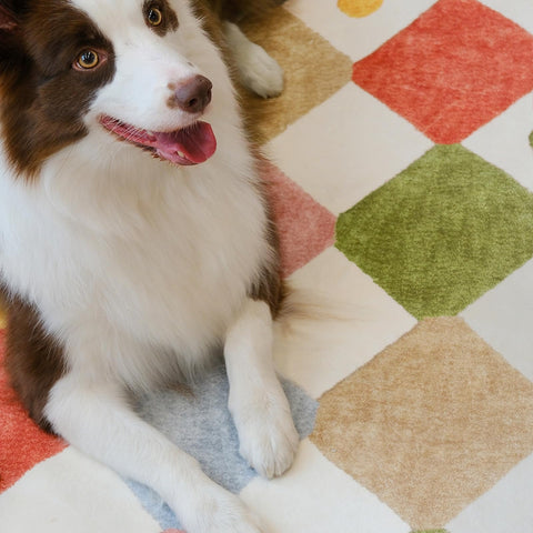 Non-slip backing keeps Jinchan Macy rug secure on any floor.