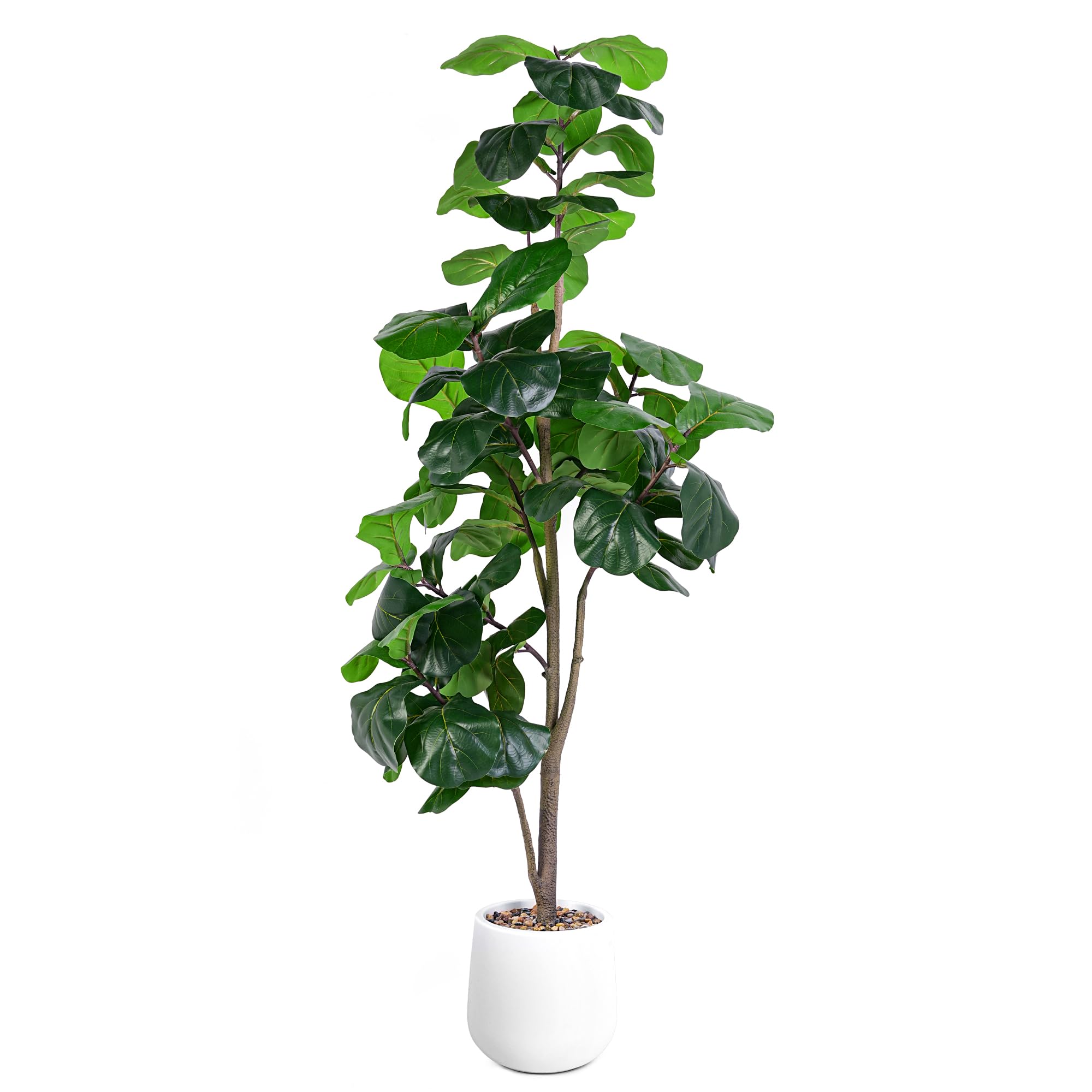 Jocoevol 6ft fiddle leaf fig tree in doorway creates lush living room greenery.
