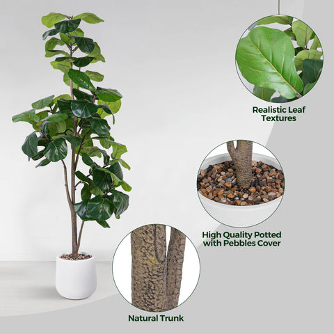 Jocoevol fiddle leaf fig leaves closeup shows realistic texture and veins.