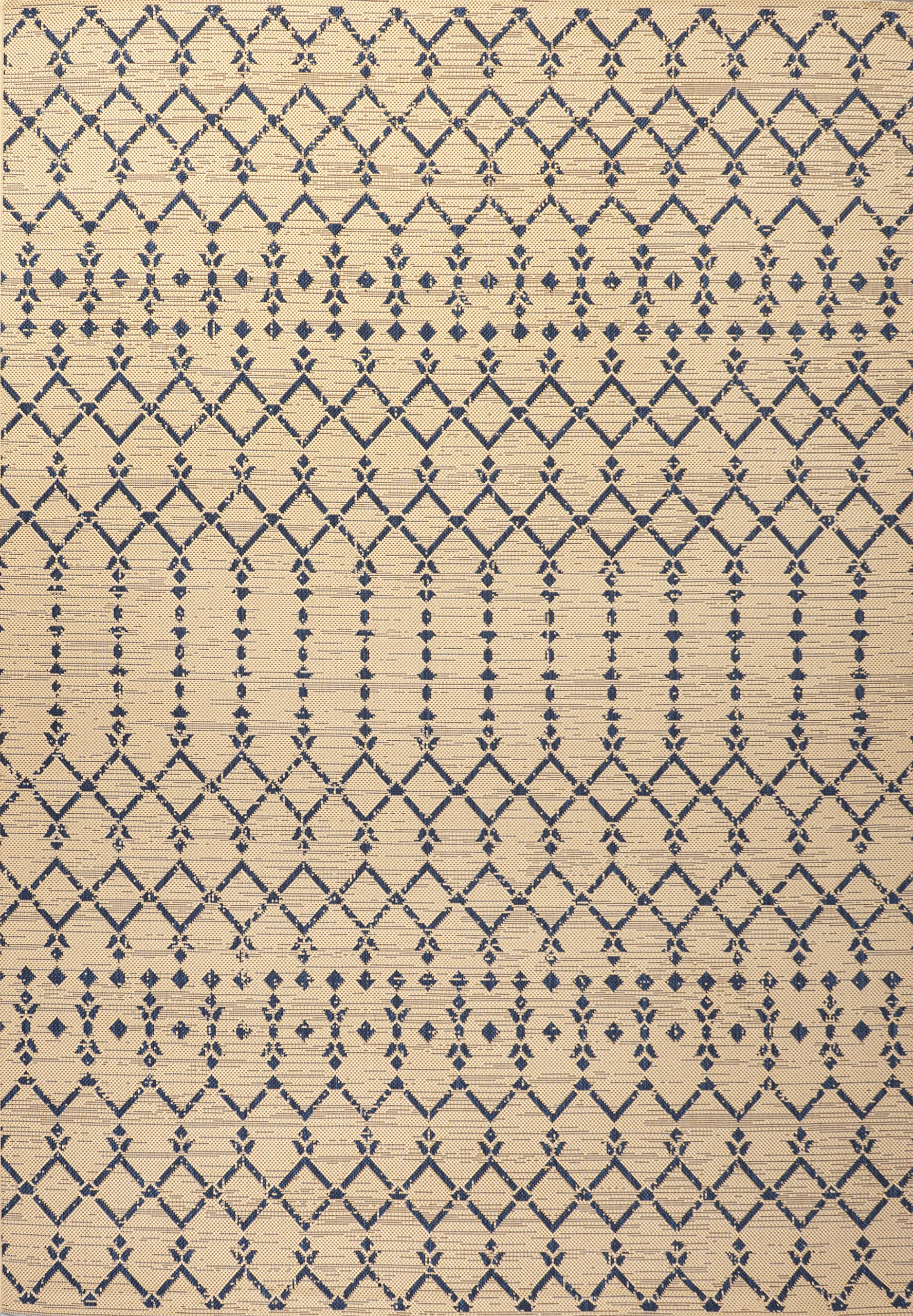 Jonathan Y Ourika easy-clean outdoor rug using soap and hose.