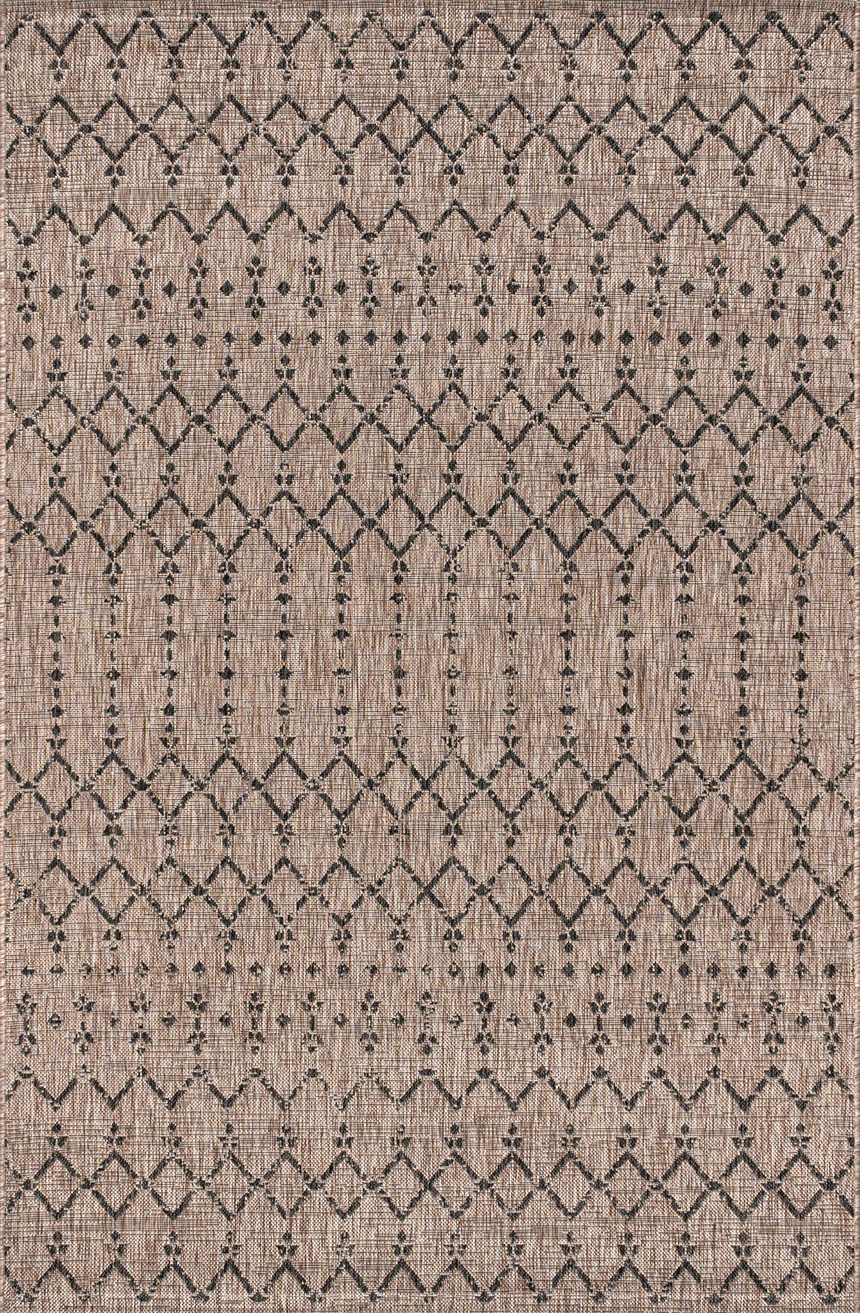 Jonathan Y easy-clean rug with hose-ready cleaning method.