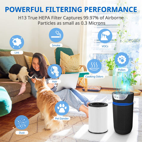 JORAIR pet odor reduction demo highlights fresher living spaces.
