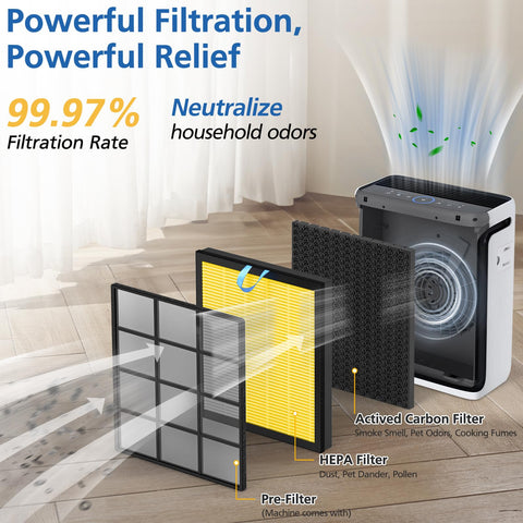 JORAIR Vital 100S activated carbon layer close-up for odor control