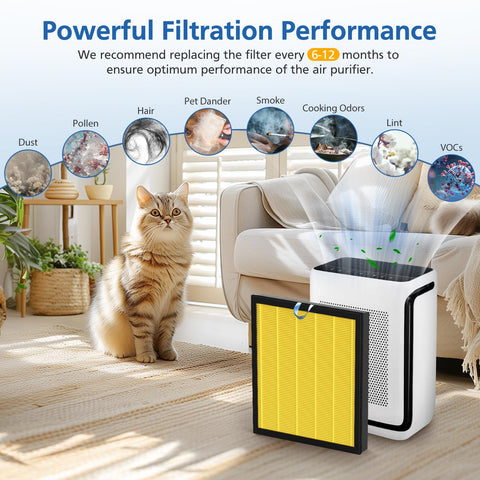 JORAIR Vital 100S filter captures dust and pollen effectively