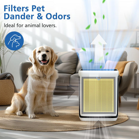 JORAIR Vital 100S reduces pet odor for a fresher home