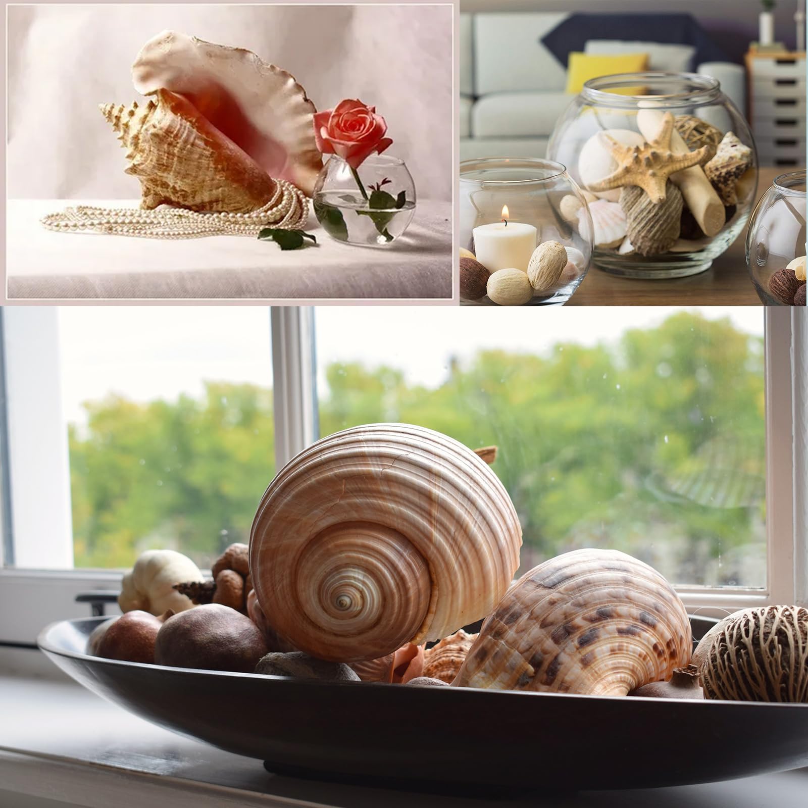 JQAQJU beach wedding shells inspire centerpieces and photo props