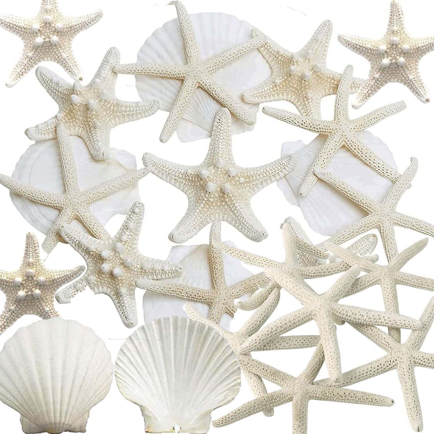 JQAQJU finger starfish for crafts adds coastal decor flair.