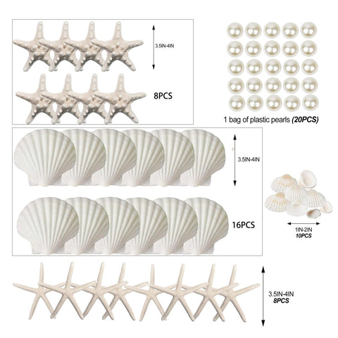 JQAQJU scallop shells 1-2in collection for DIY crafts.