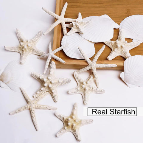 JQAQJU shells with fake pearls create elegant gift embellishments.