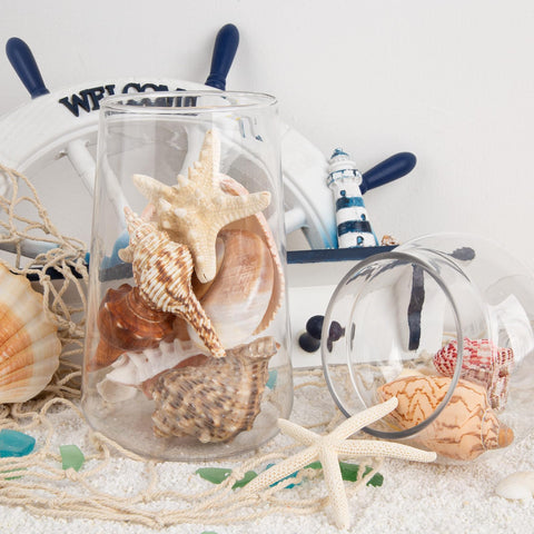 JQAQJU coastal crafts shells support easy vase fillers and DIY projects