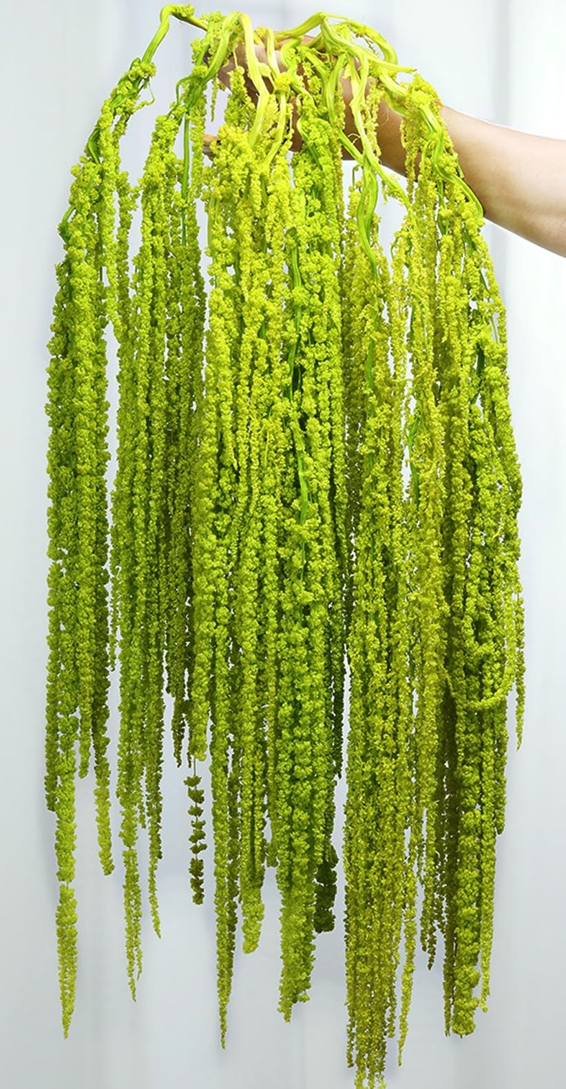 Jtoder amaranthus hanging flowers show a waterfall of blooms for wedding decor