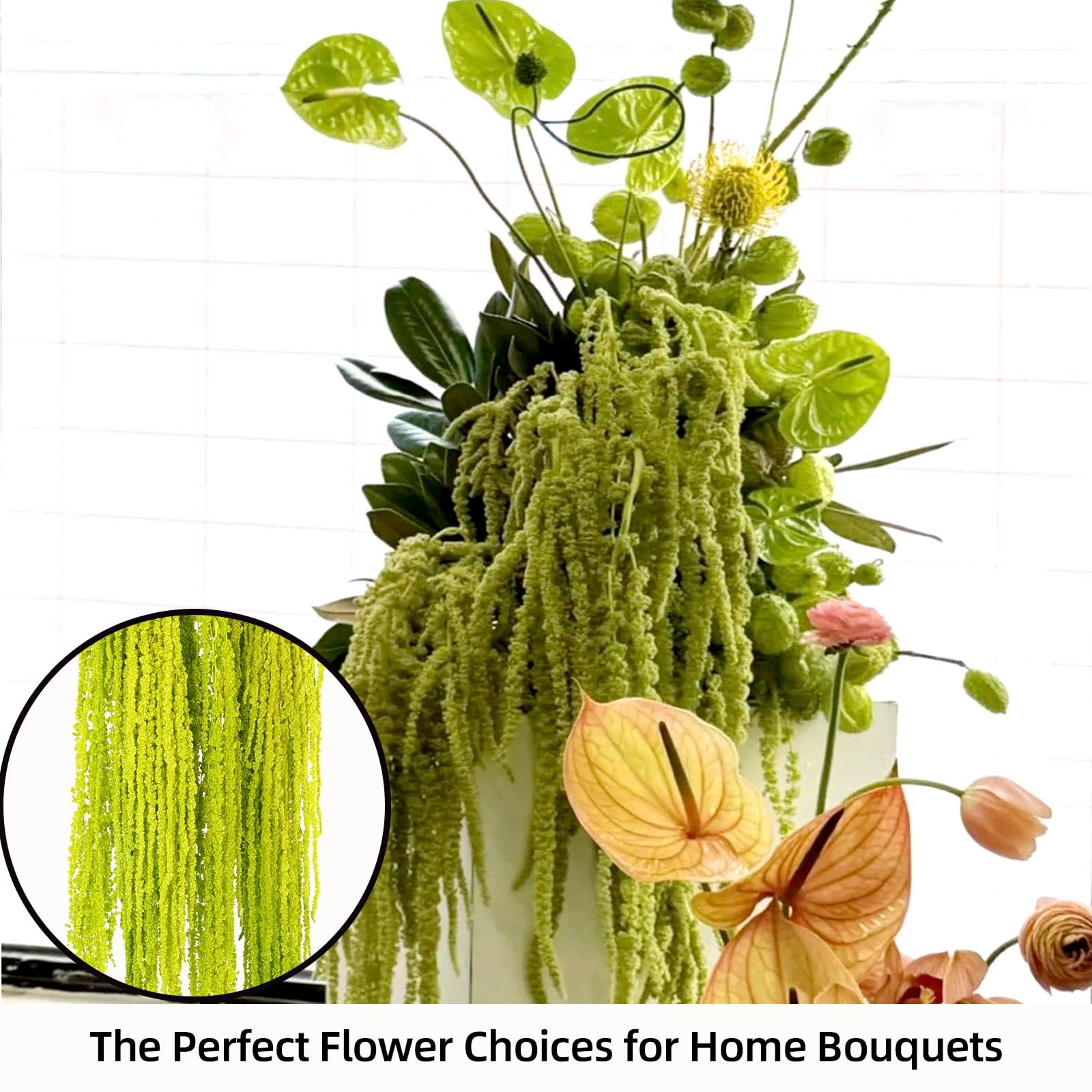 Jtoder amaranthus wall and ceiling drape adding natural warmth