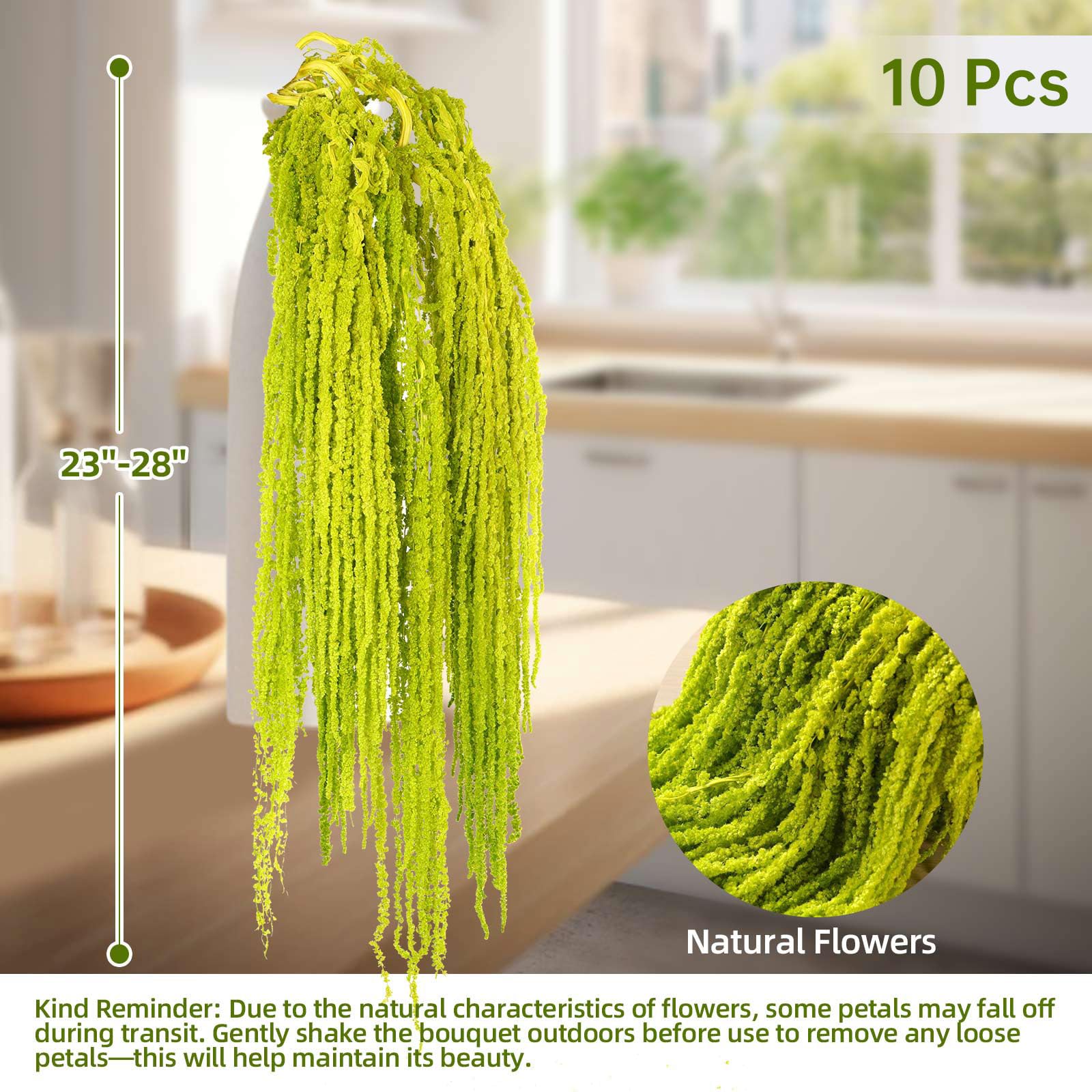 Jtoder dried amaranthus arch decor for weddings and archways