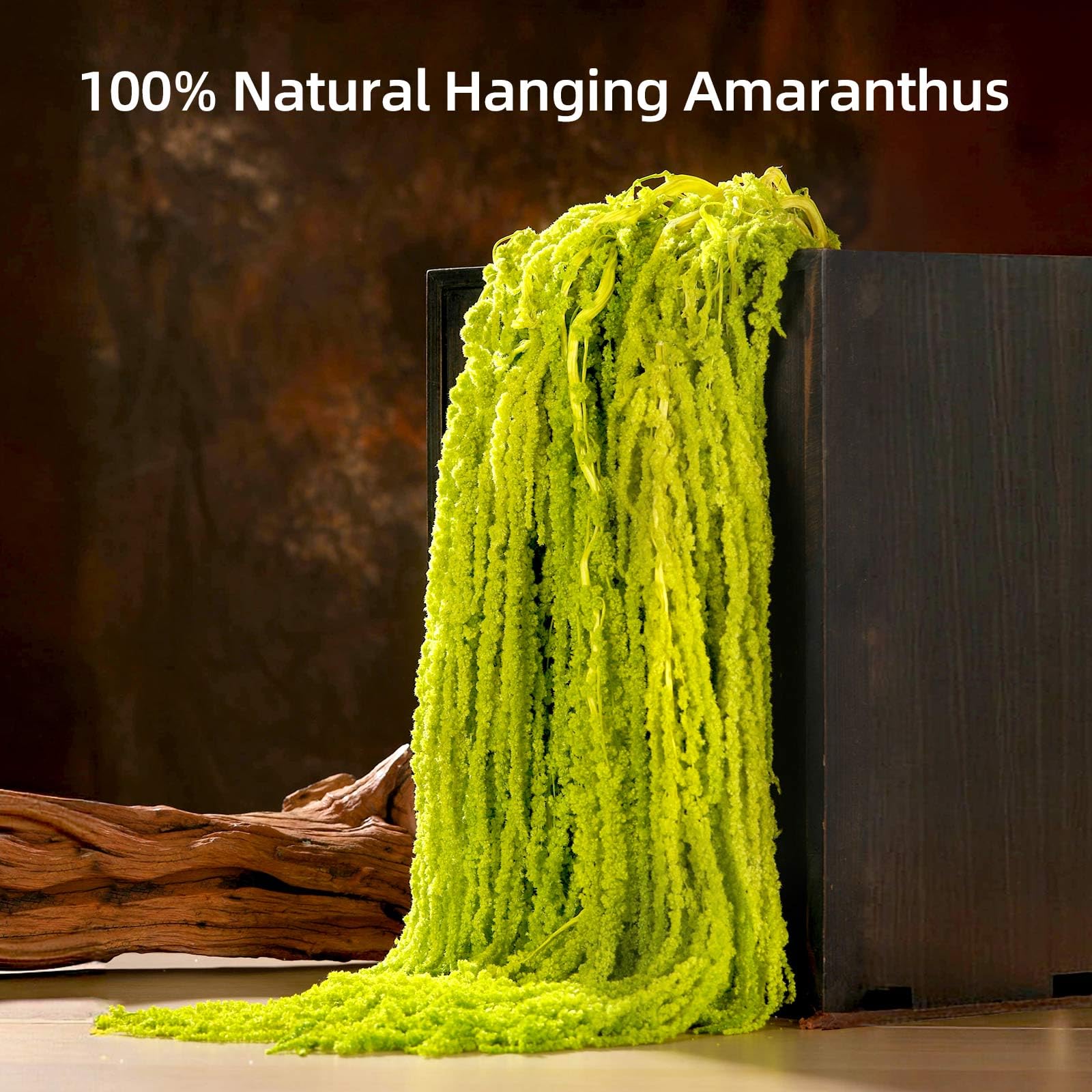 Jtoder preserved amaranthus stems close-up highlighting natural texture