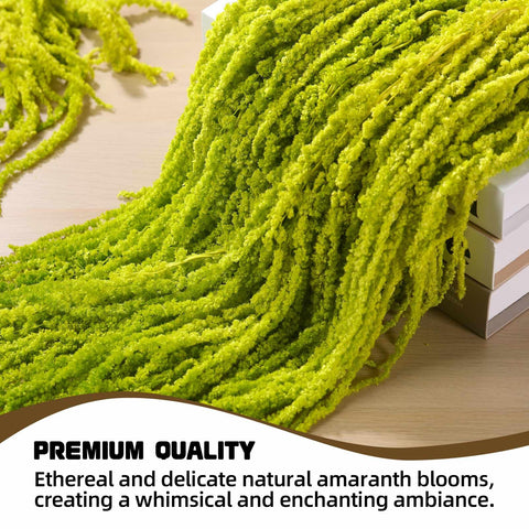 Jtoder natural amaranthus decor for warm entryways and living spaces
