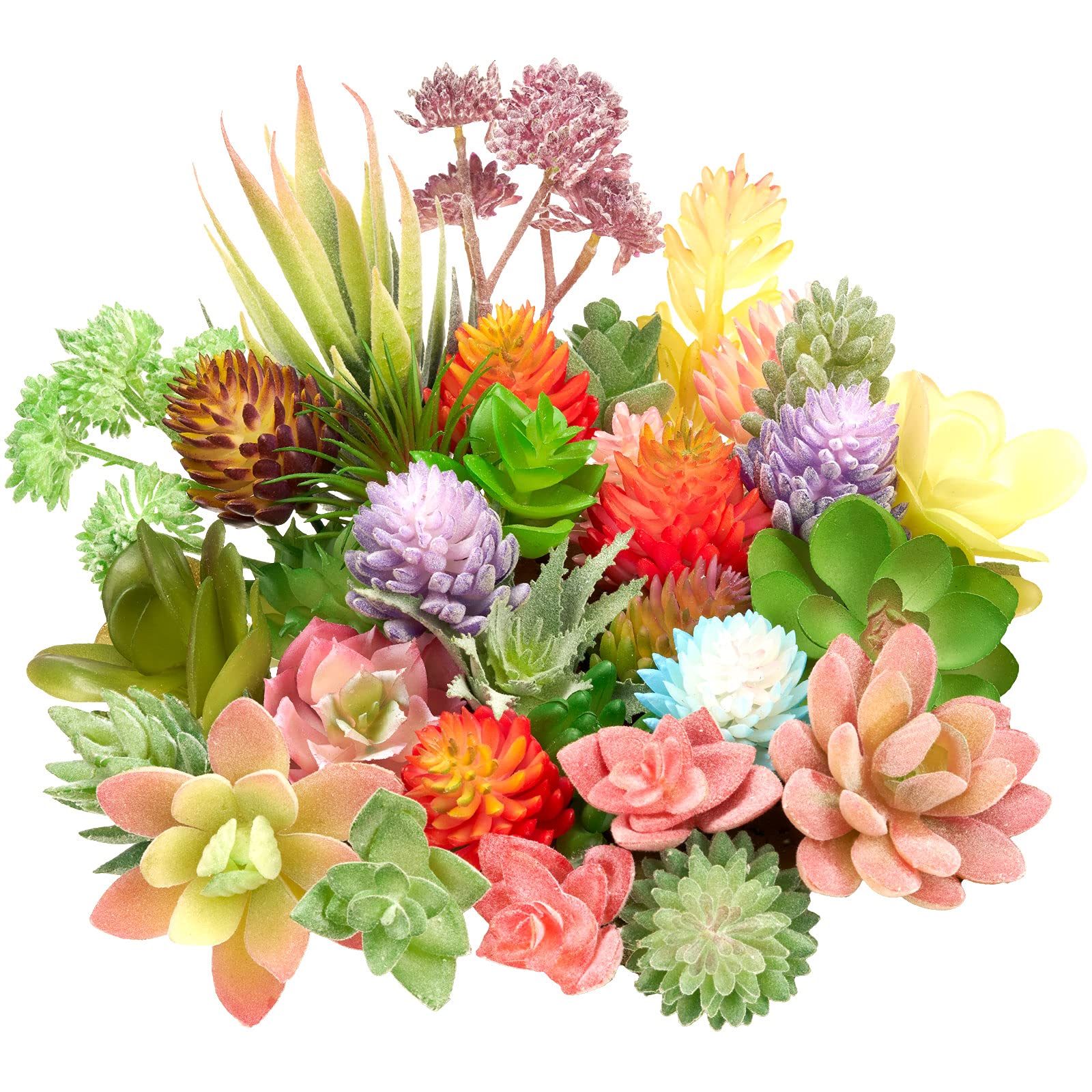 Jutom 32-piece mini succulents unpotted display adds natural color to any room.