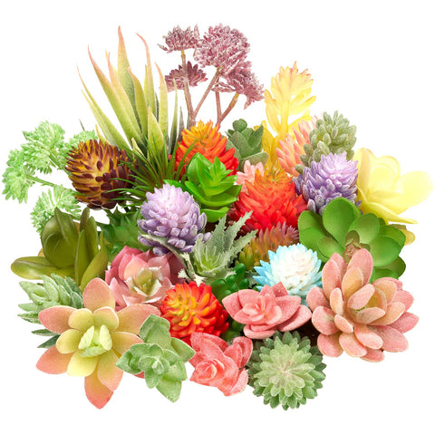Jutom 32-piece mini succulents unpotted display adds natural color to any room.