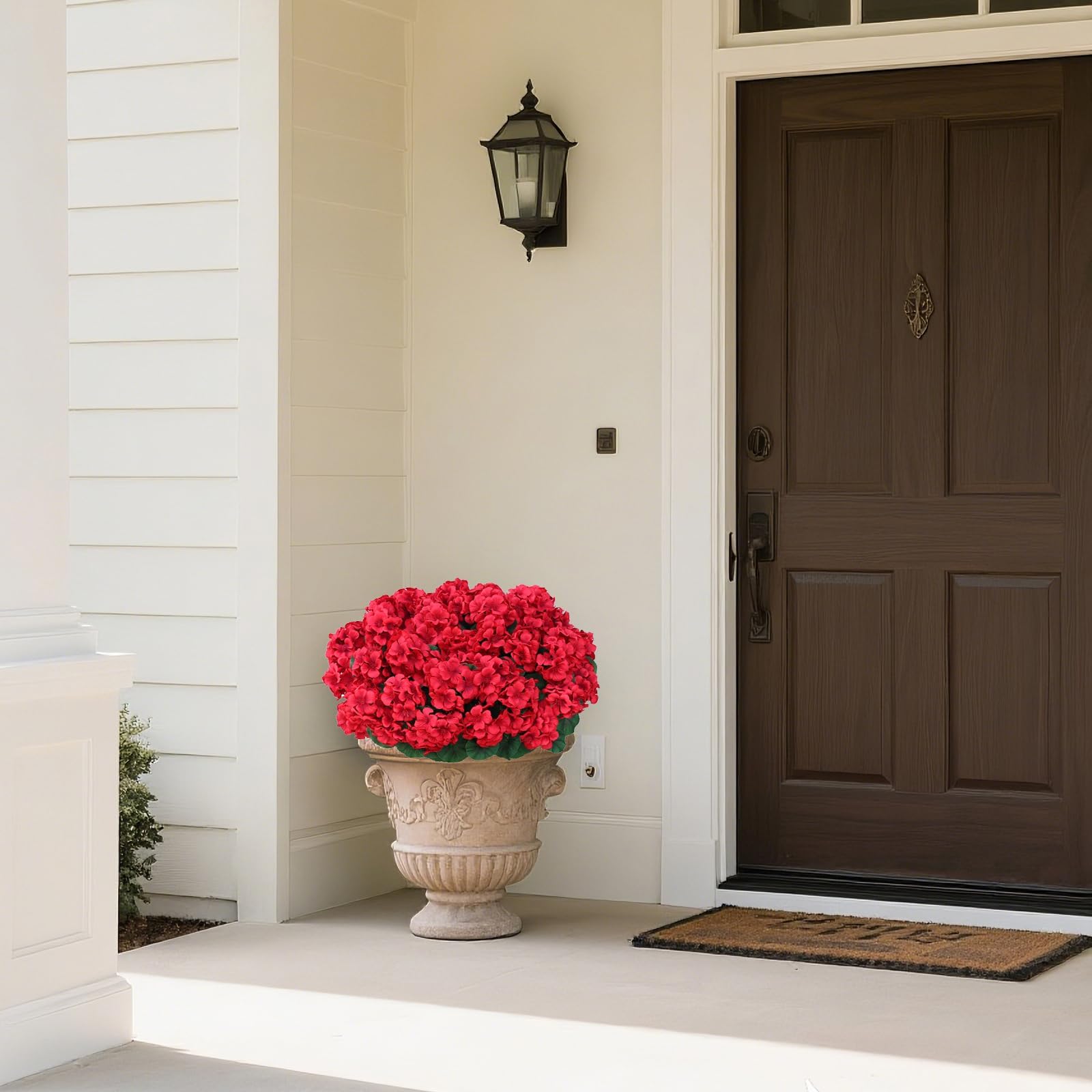 Juxdp all-year foliage for front porches, without watering.
