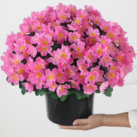 Juxdp camellia topiary ball trees outdoor use withstand sun and wind.