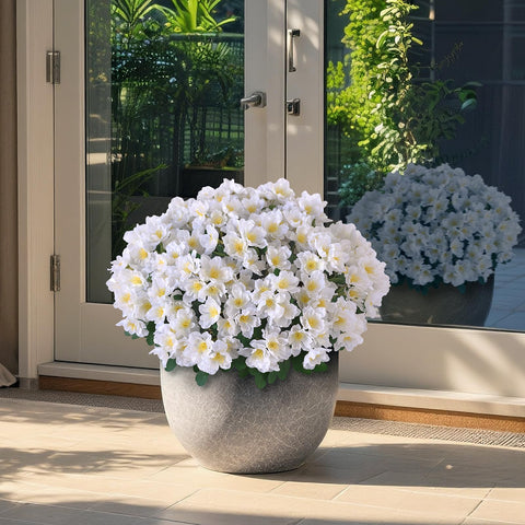Juxdp camellia ball topiary on balcony boosts outdoor style