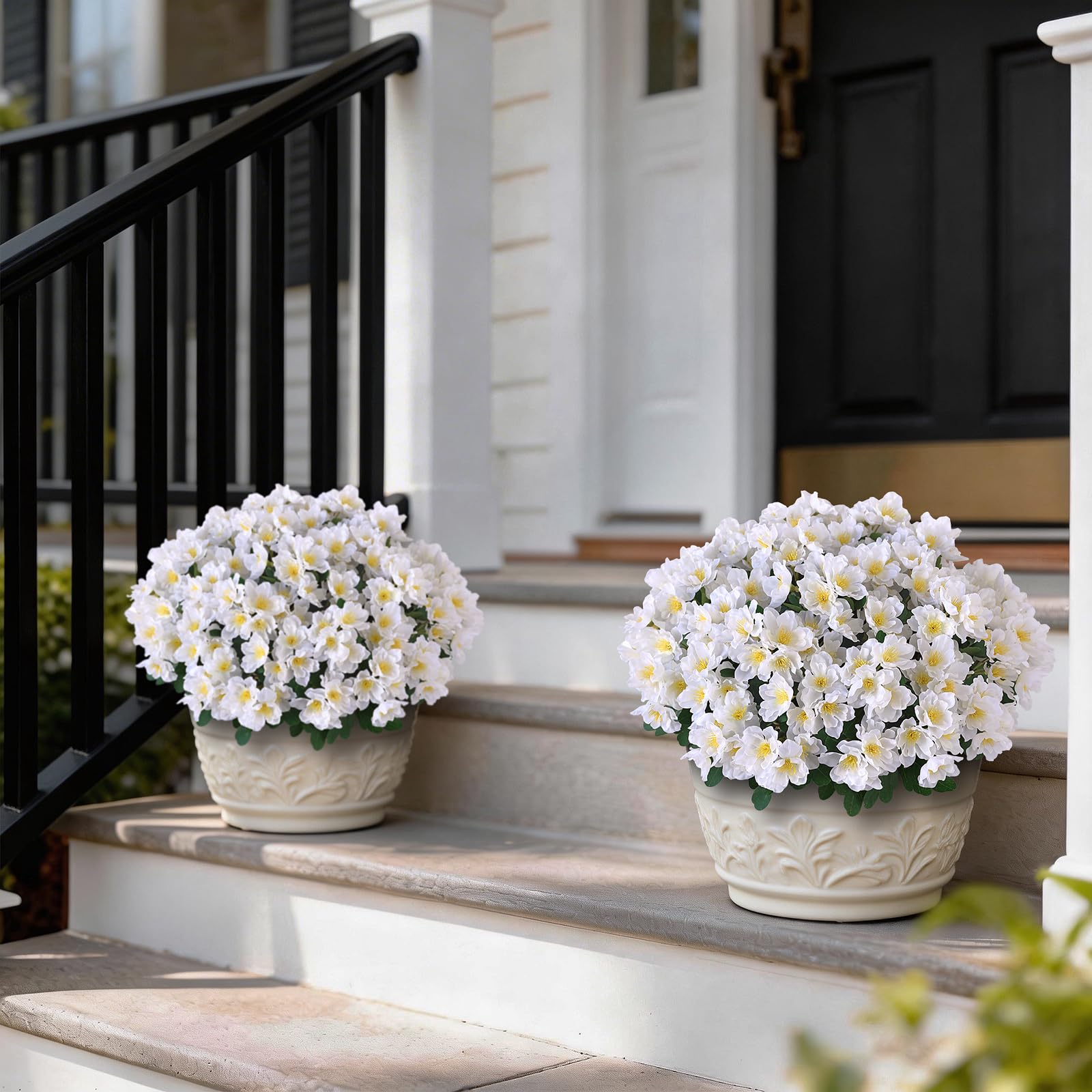 Juxdp camellia topiary ball tree at entry enhances welcoming ambiance