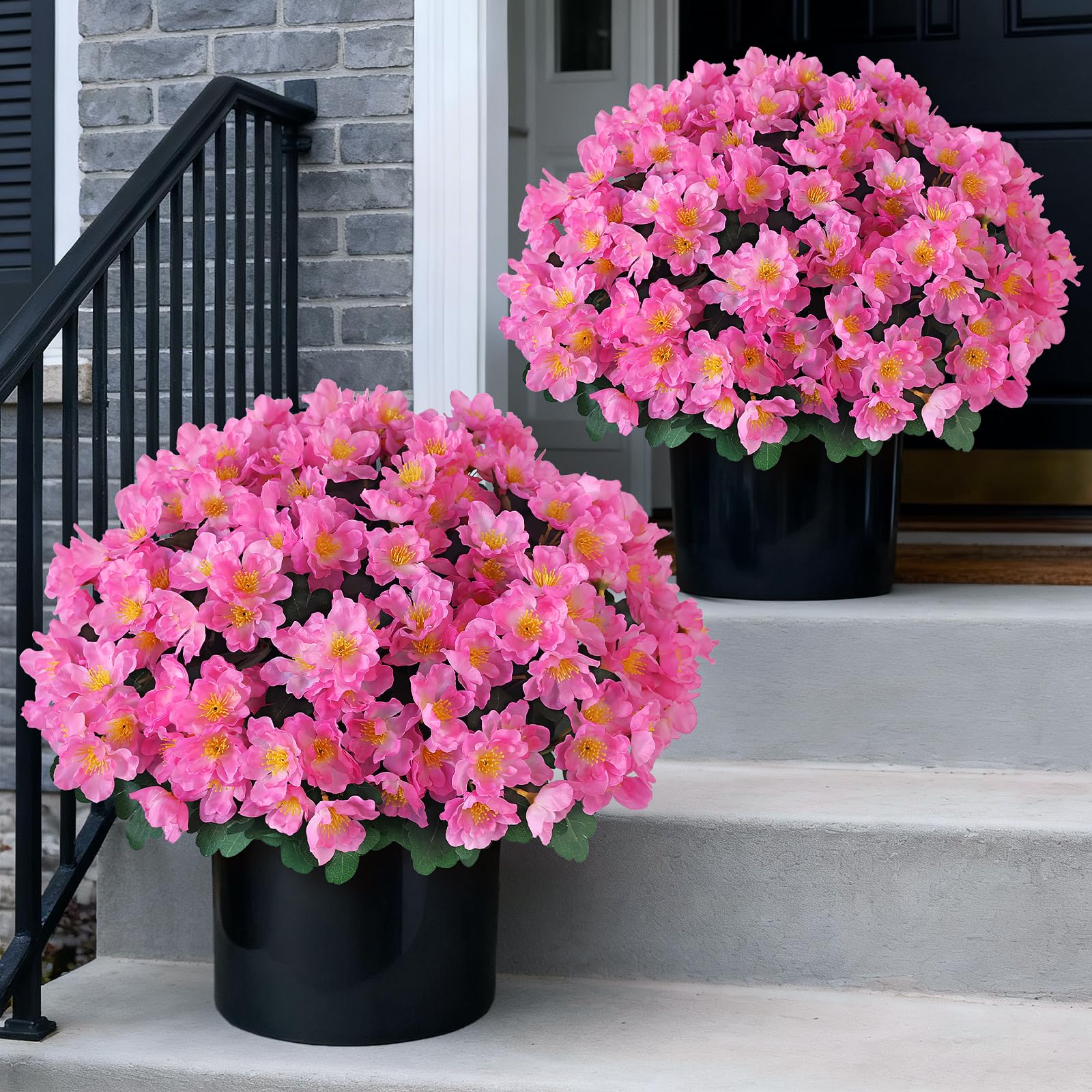 Juxdp camellia topiary ball tree pair for instant outdoor curb appeal.