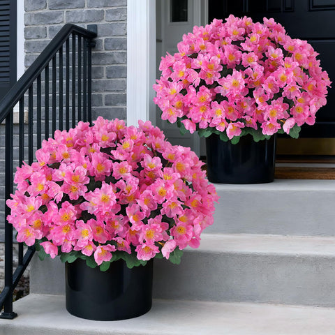 Juxdp camellia topiary ball tree pair for instant outdoor curb appeal.
