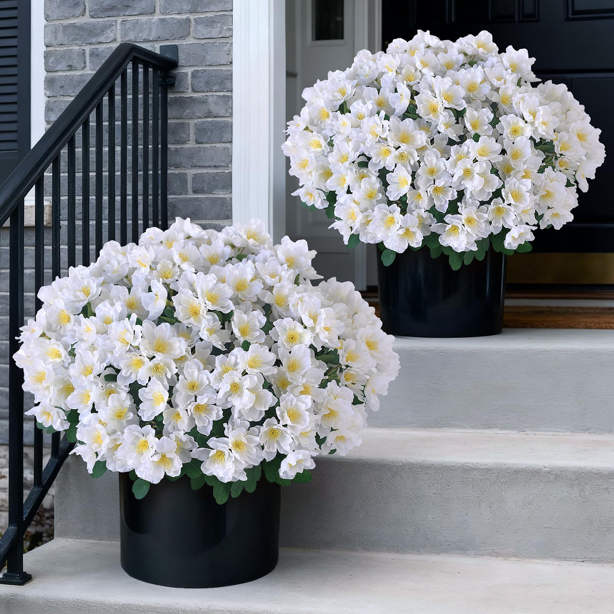 Juxdp camellia topiary ball tree on porch adds elegant curb appeal