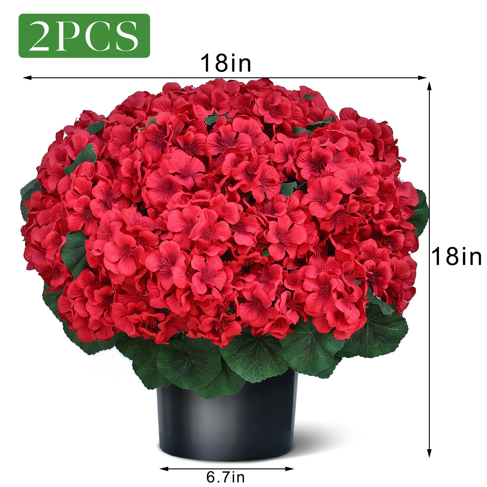 Juxdp red geranium blooms add vibrant color to spaces.