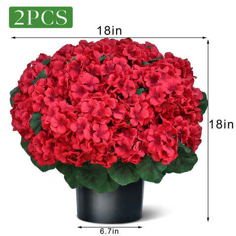 Juxdp red geranium blooms add vibrant color to spaces.