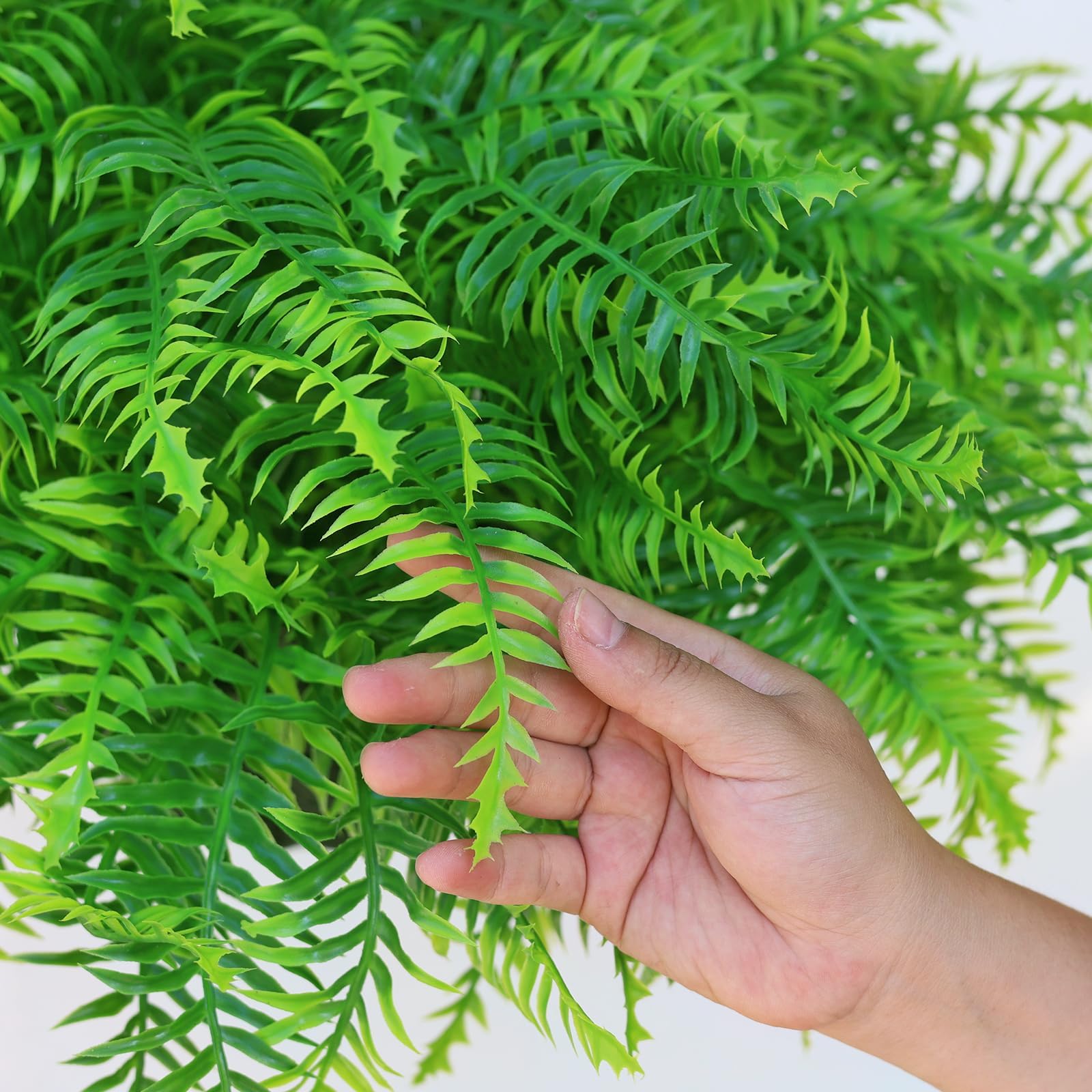 Close-up of leaf color restored through the plant's process.