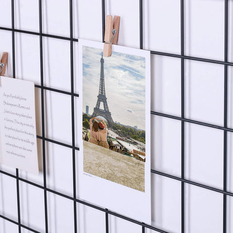 Kakivan grid hanging wall supports horizontal and vertical layouts for flexible decor.