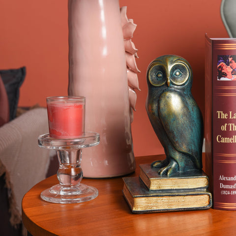 Kakizzy Owl Book Ends bronze room decor adds charming focal points.