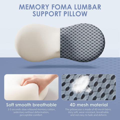 Kasney ergonomic curve aligns with the lumbar spine for support.