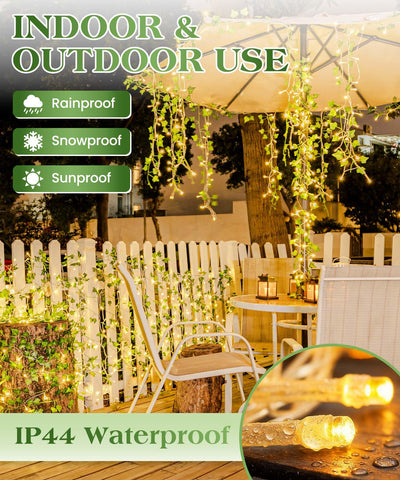 KASZOO outdoor wedding ivy enhances outdoor ceremony areas.
