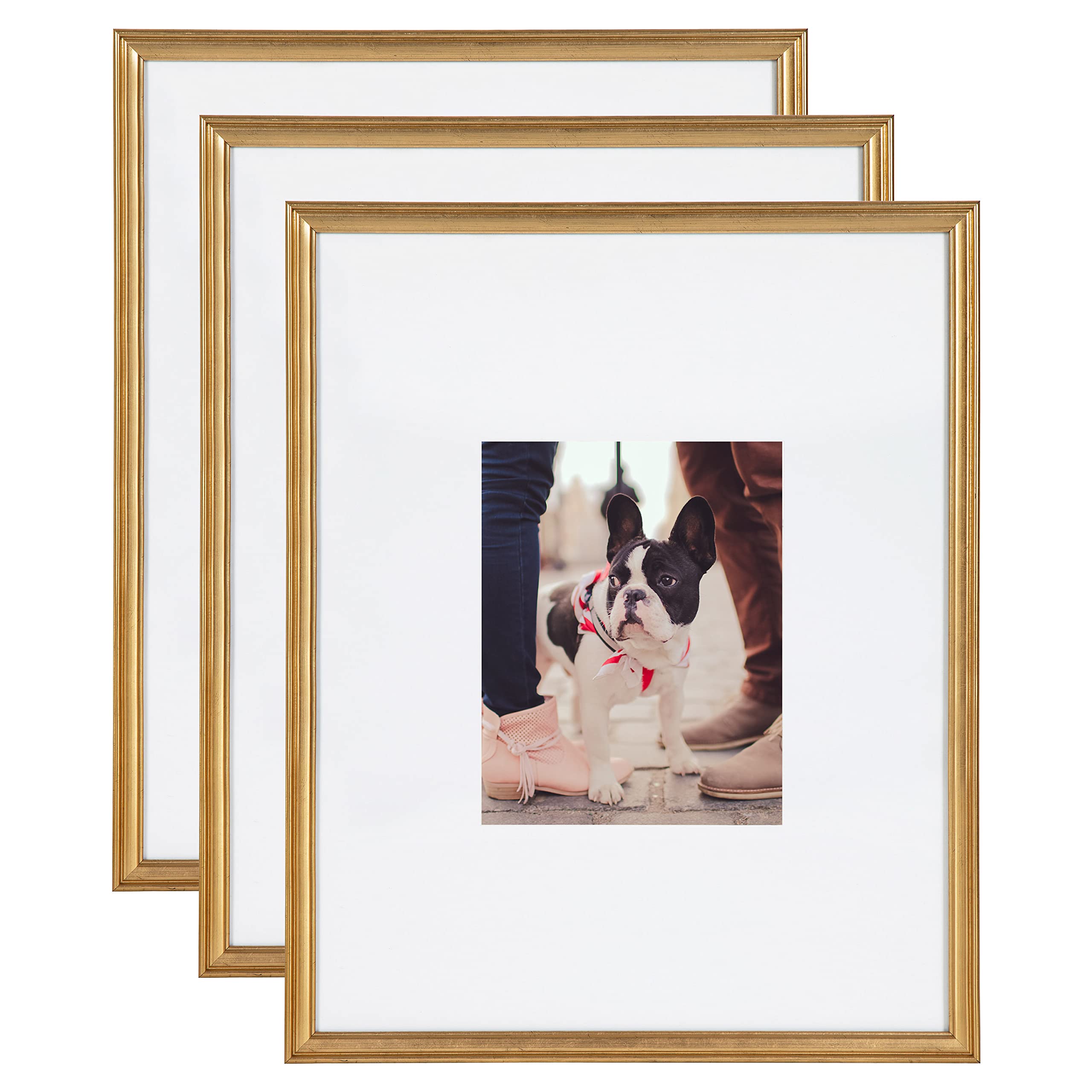 Kate and Laurel Adlynn gold frame set for an elegant wall gallery, showcasing memories.