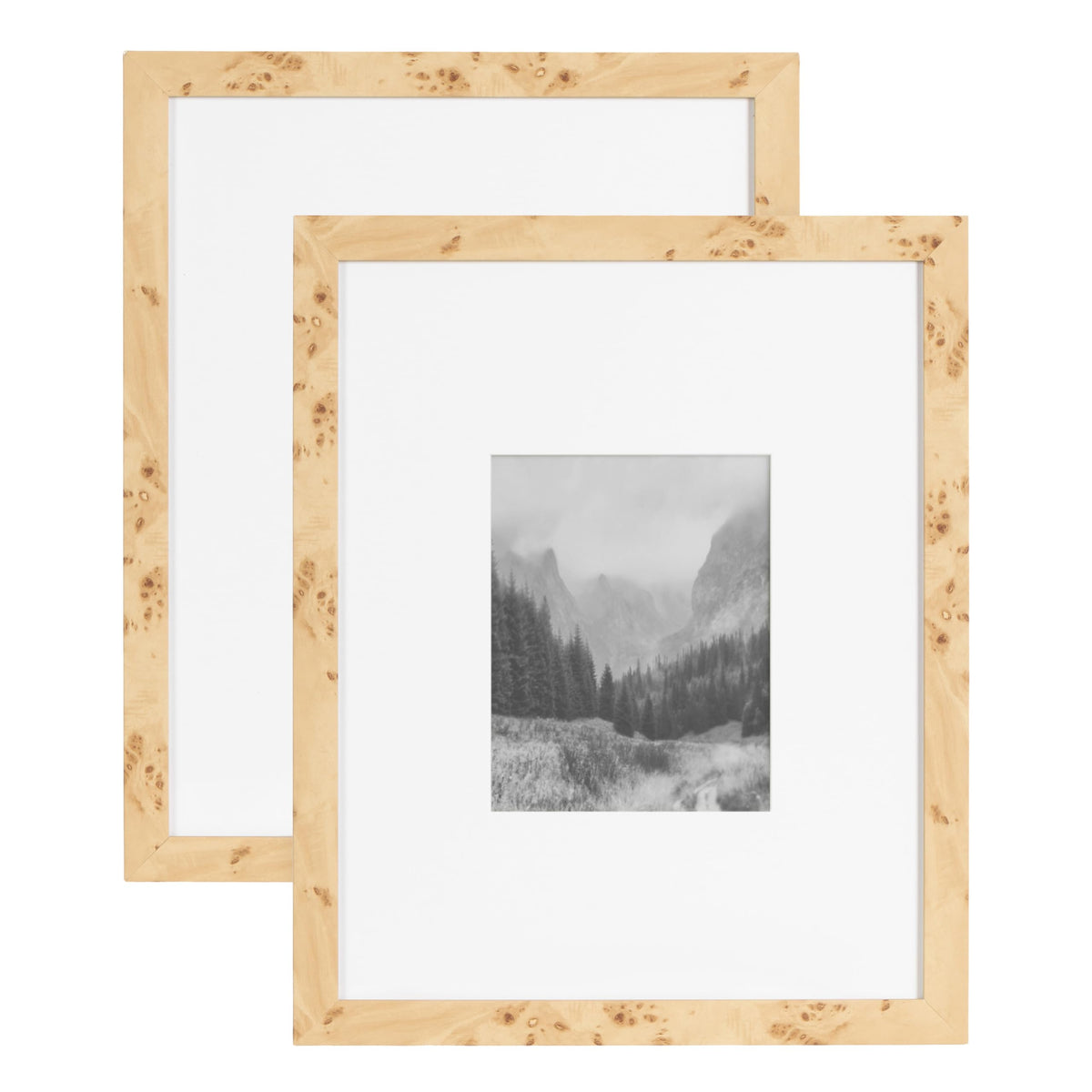 Kate and Laurel Burlock burlwood frame with 16x20 focus, ideal for galleries