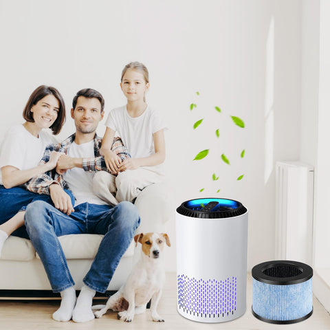 Katerelis filters for pet owners and smokers, helps maintain air quality.