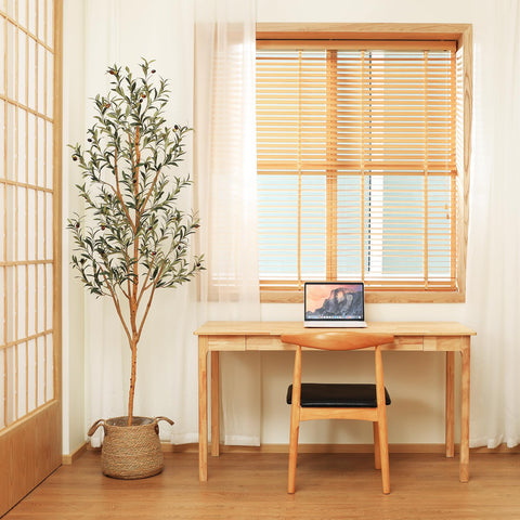 Kazeila 7ft low-maintenance olive tree with no watering required