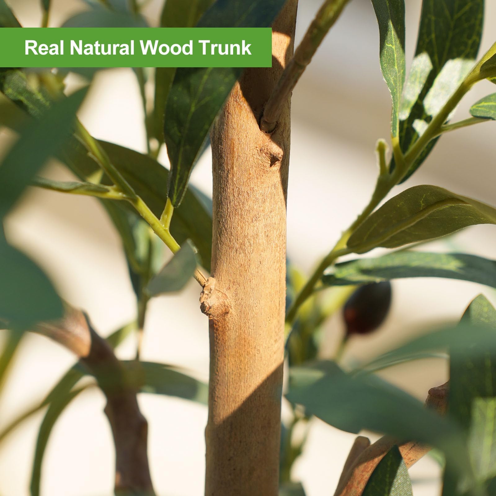 Kazeila heavy base pot provides stability for the tree.